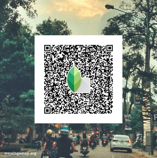 Download 300+ Free Snapseed QR Code Photos, DPs, and Images